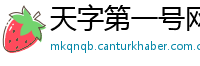 天字第一号网